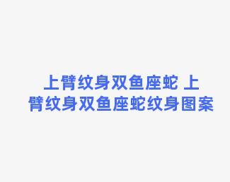 上臂纹身双鱼座蛇 上臂纹身双鱼座蛇纹身图案